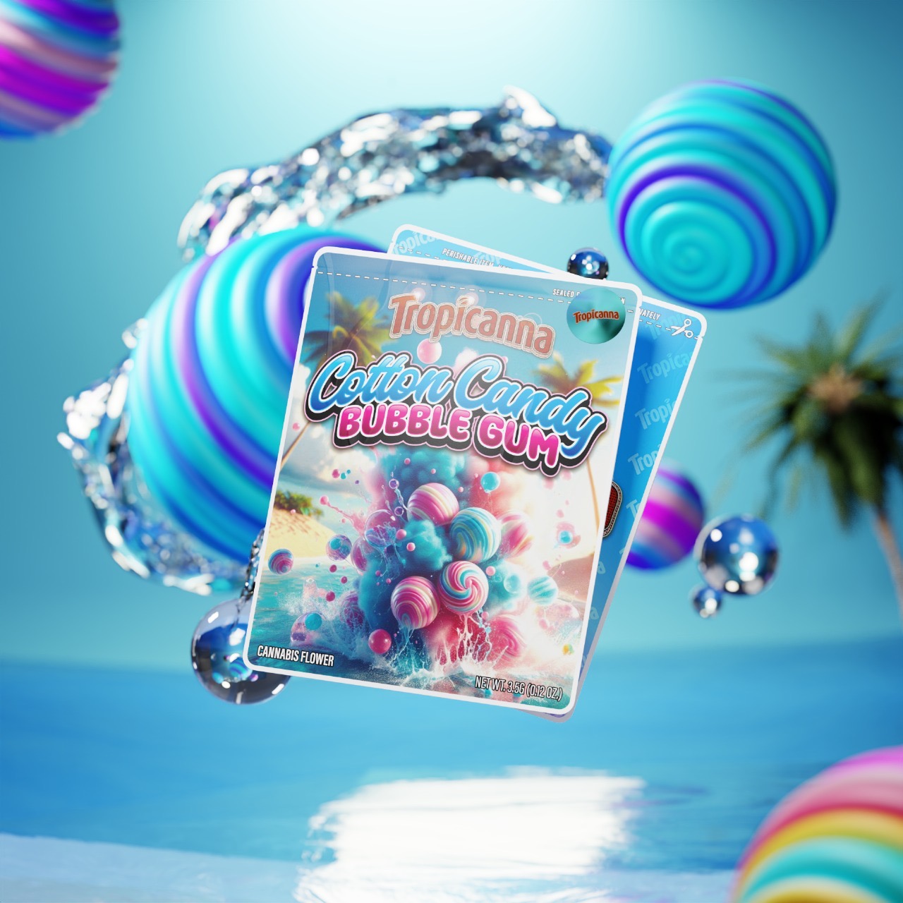 プルメリア　Golb Coast Cotton Candy Gold Coast Cotton Candy Plumeria